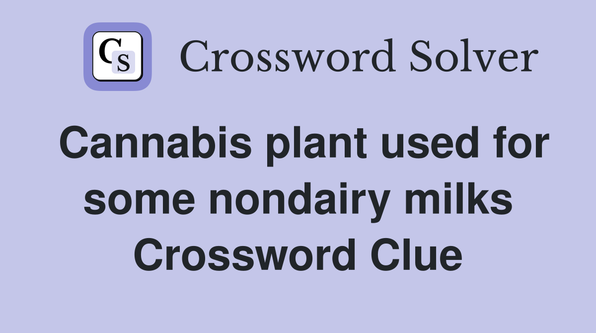 Cannabis plant used for some nondairy milks Crossword Clue