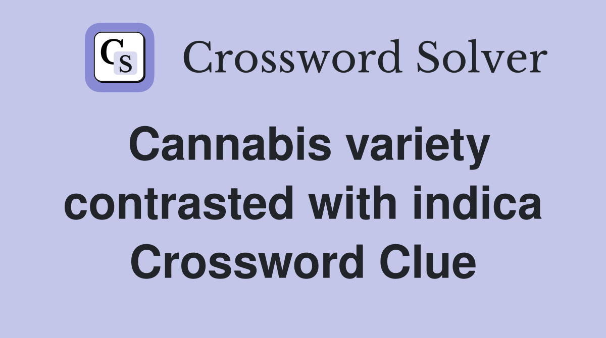 Cannabis variety contrasted with indica Crossword Clue Answers