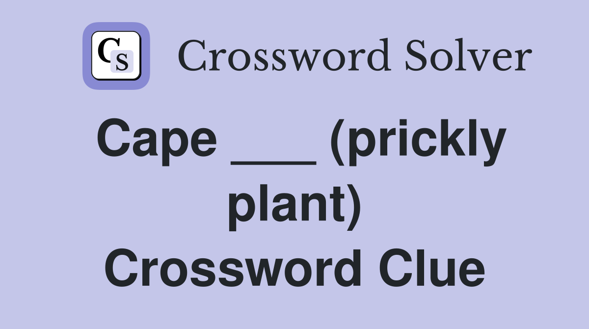 Cape ___ (prickly plant) Crossword Clue