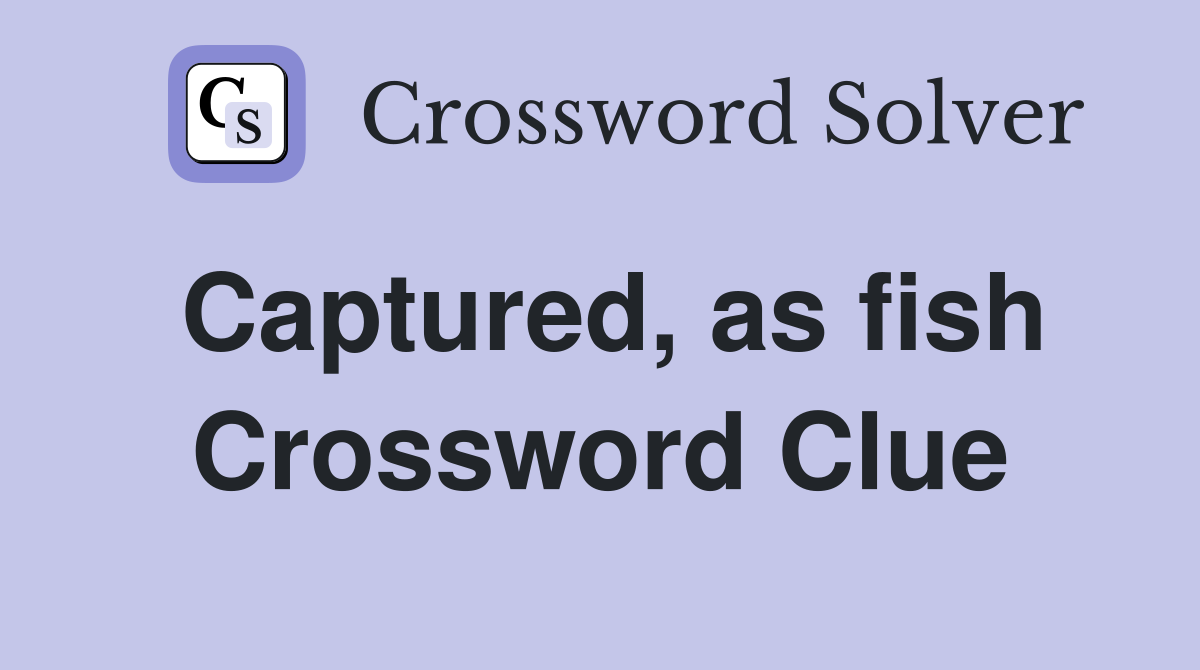 Captured, as fish Crossword Clue
