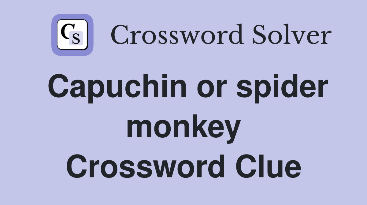 Capuchin or spider monkey Crossword Clue