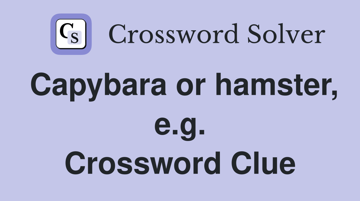 Capybara or hamster, e.g. Crossword Clue