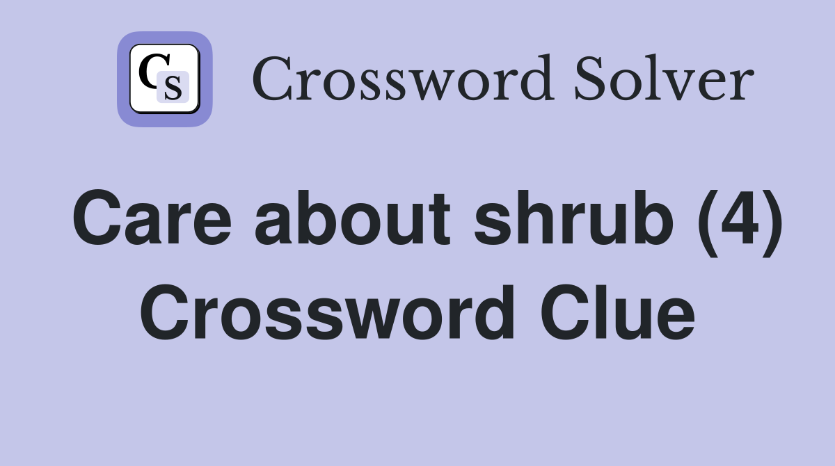 Care about shrub (4) Crossword Clue