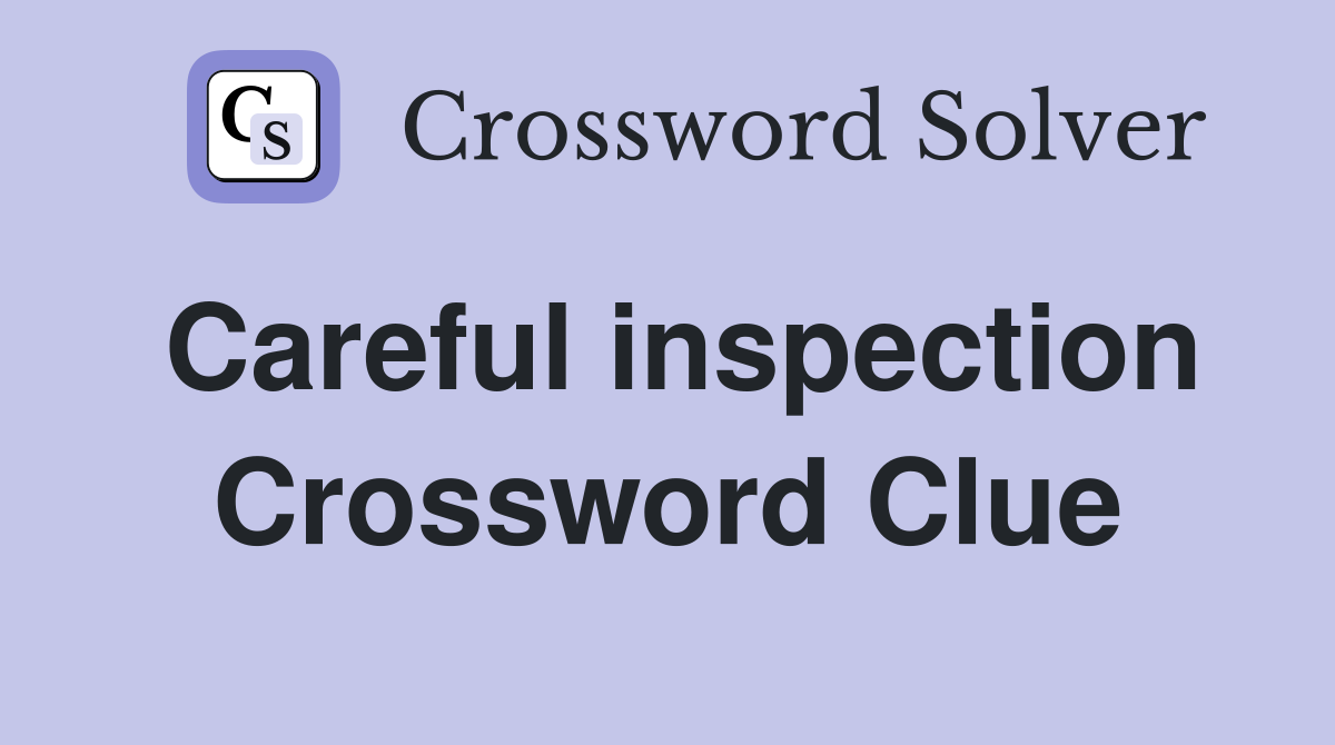 Careful inspection Crossword Clue