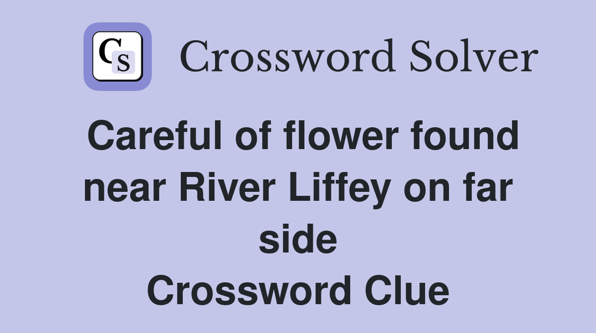 Careful of flower found near River Liffey on far side Crossword Clue