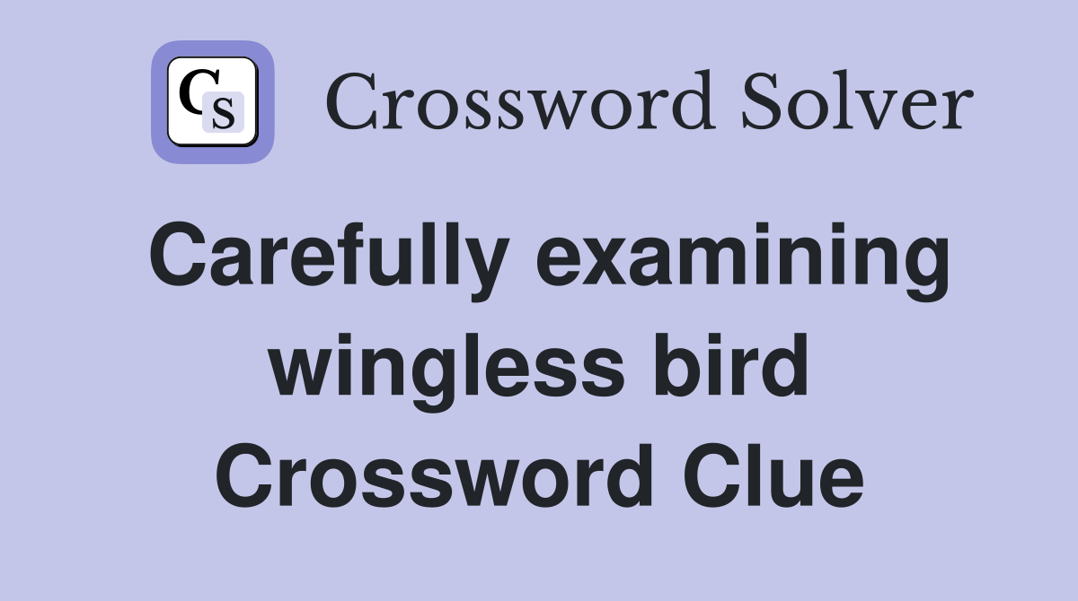 Carefully examining wingless bird Crossword Clue
