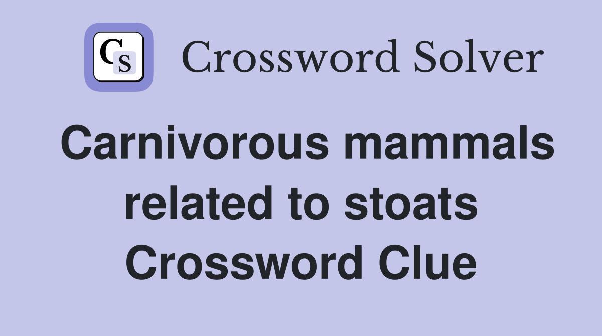 Carnivorous mammals related to stoats Crossword Clue