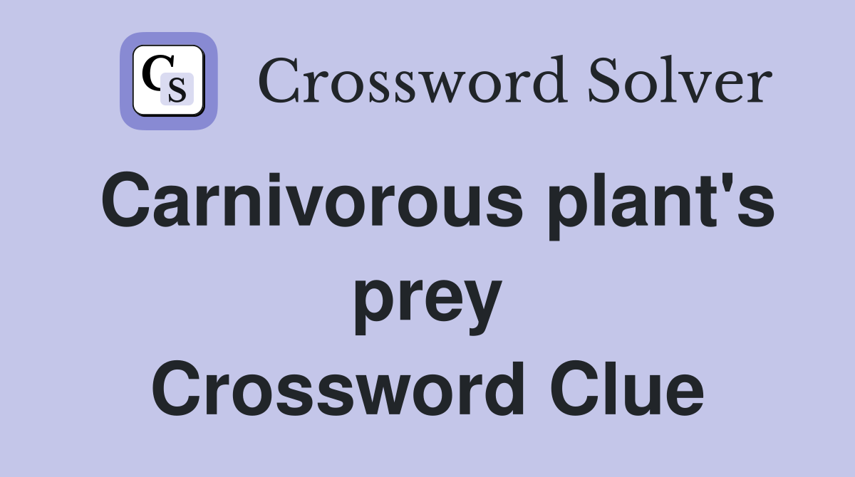 Carnivorous plant's prey Crossword Clue