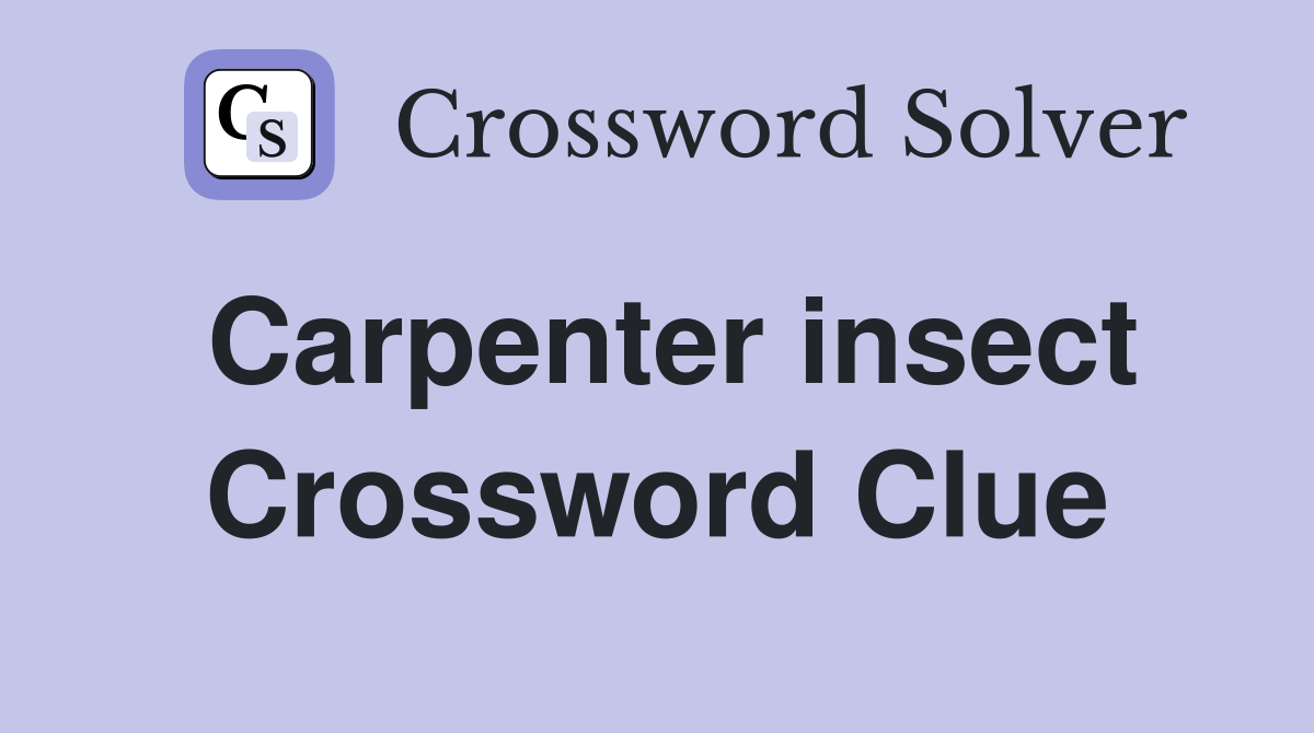 Carpenter insect Crossword Clue