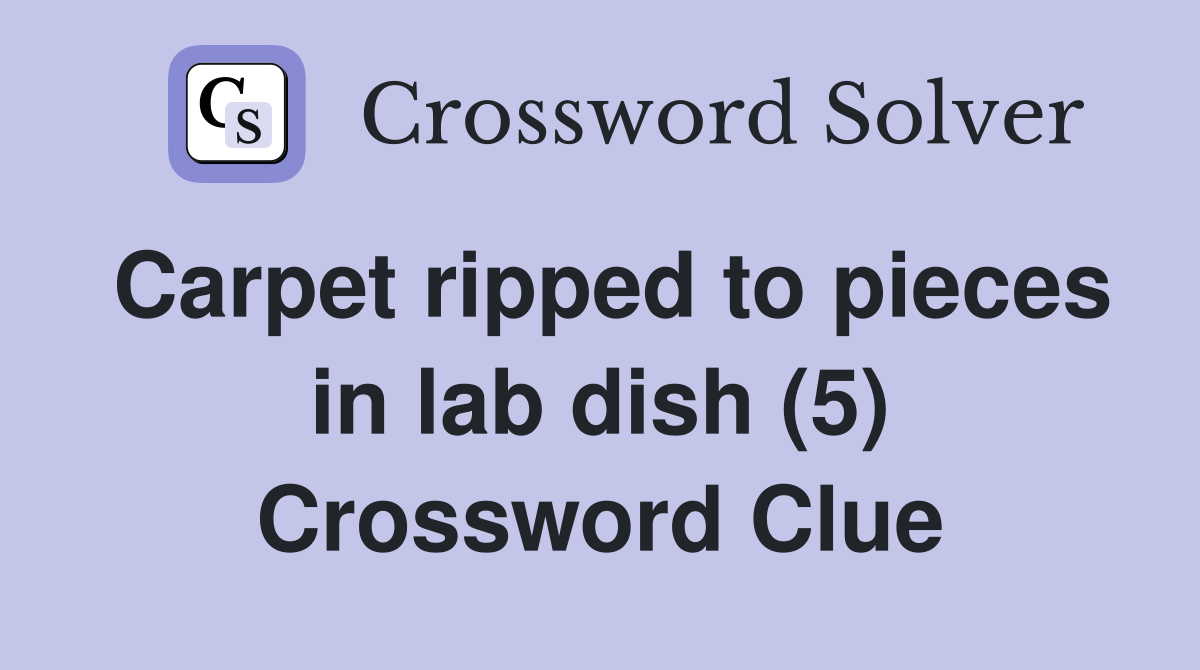 Carpet ripped to pieces in lab dish (5) Crossword Clue