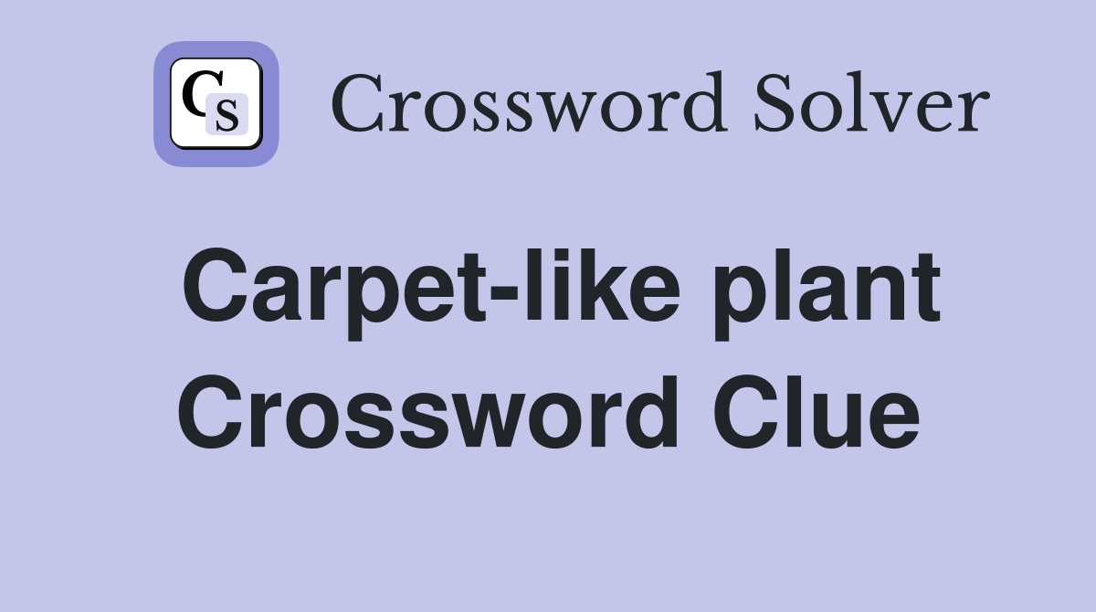 Carpet-like plant Crossword Clue