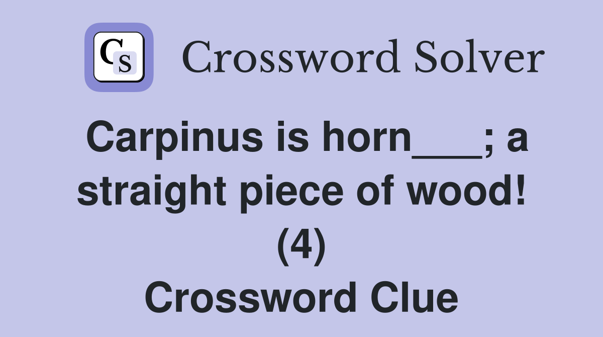 Carpinus is horn___; a straight piece of wood! (4) Crossword Clue