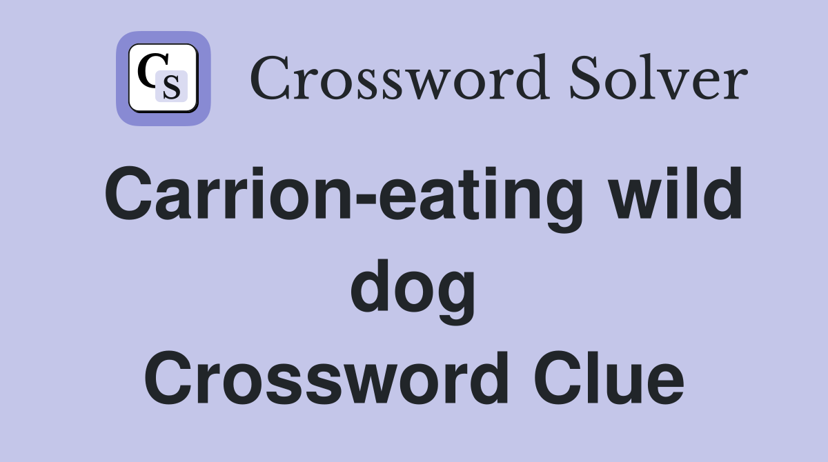 Carrion-eating wild dog Crossword Clue