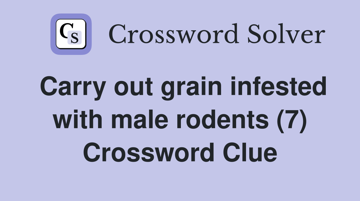 Carry out grain infested with male rodents (7) Crossword Clue