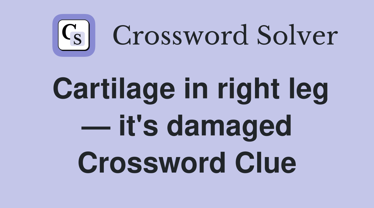 Cartilage in right leg — it's damaged Crossword Clue