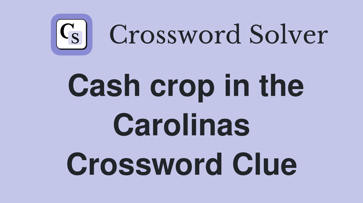 Cash crop in the Carolinas Crossword Clue