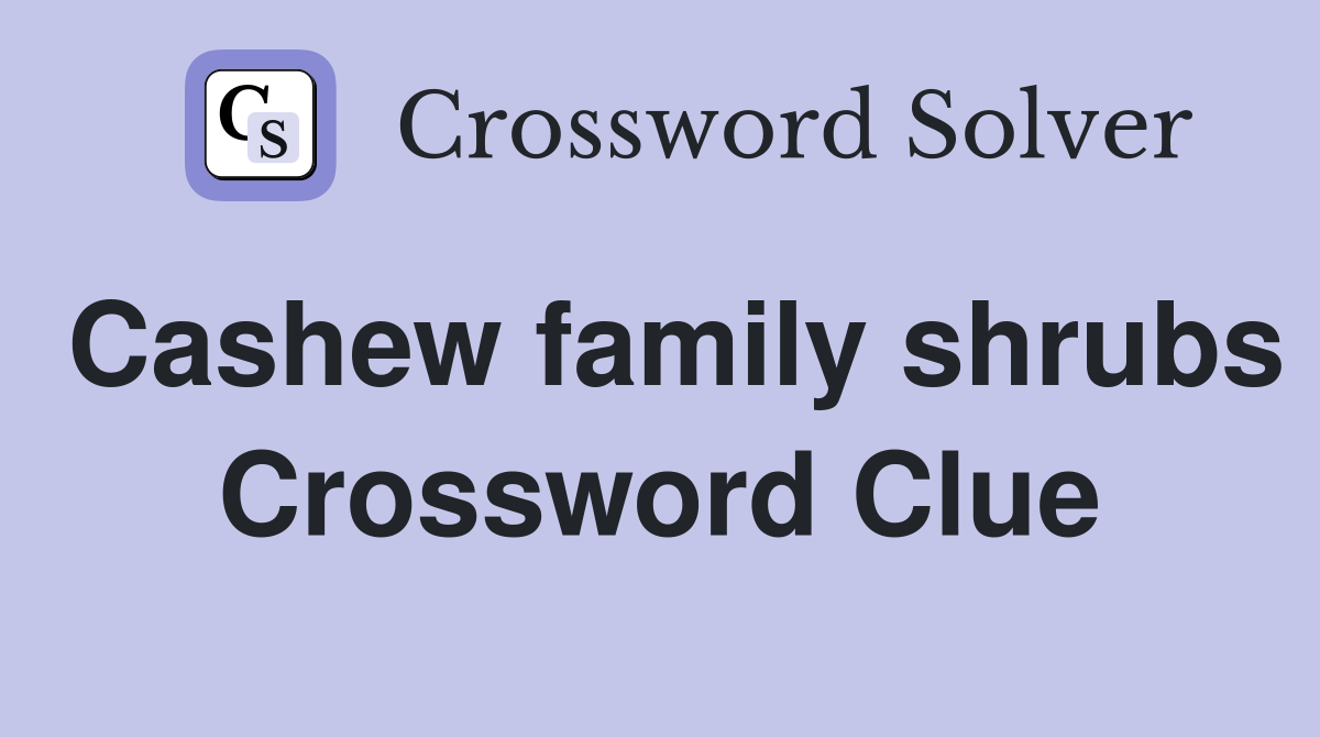 Cashew family shrubs Crossword Clue