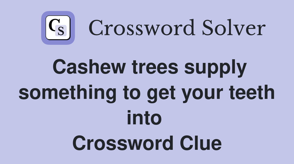 Cashew trees supply something to get your teeth into  Crossword Clue
