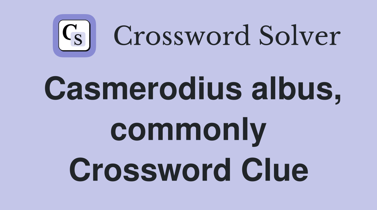 Casmerodius albus, commonly Crossword Clue