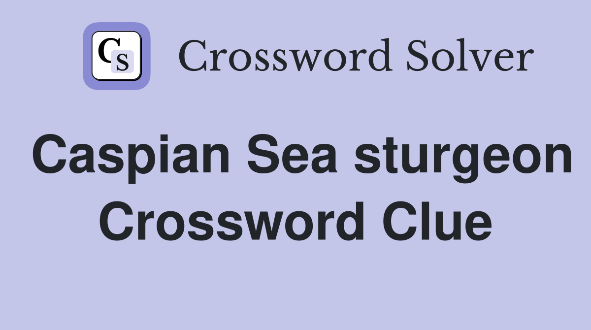 Caspian Sea sturgeon Crossword Clue
