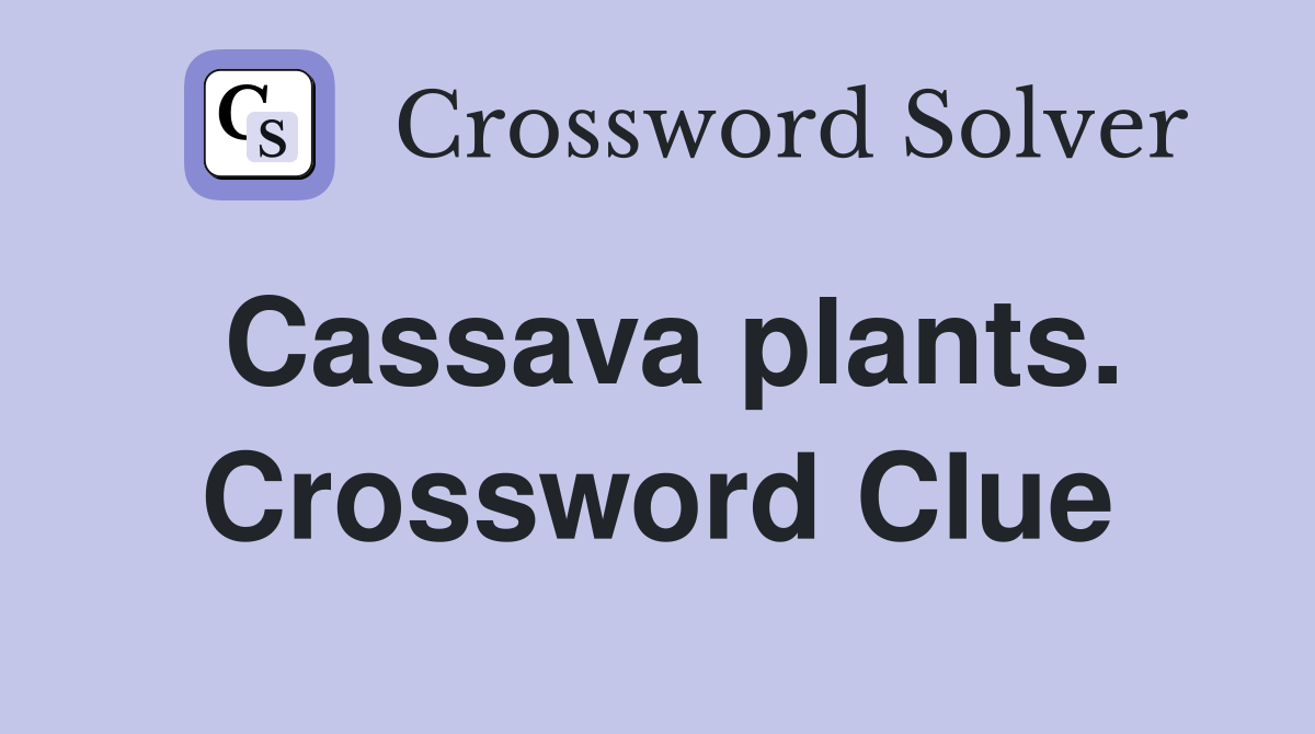 Cassava plants. Crossword Clue