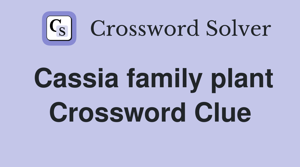 Cassia family plant Crossword Clue