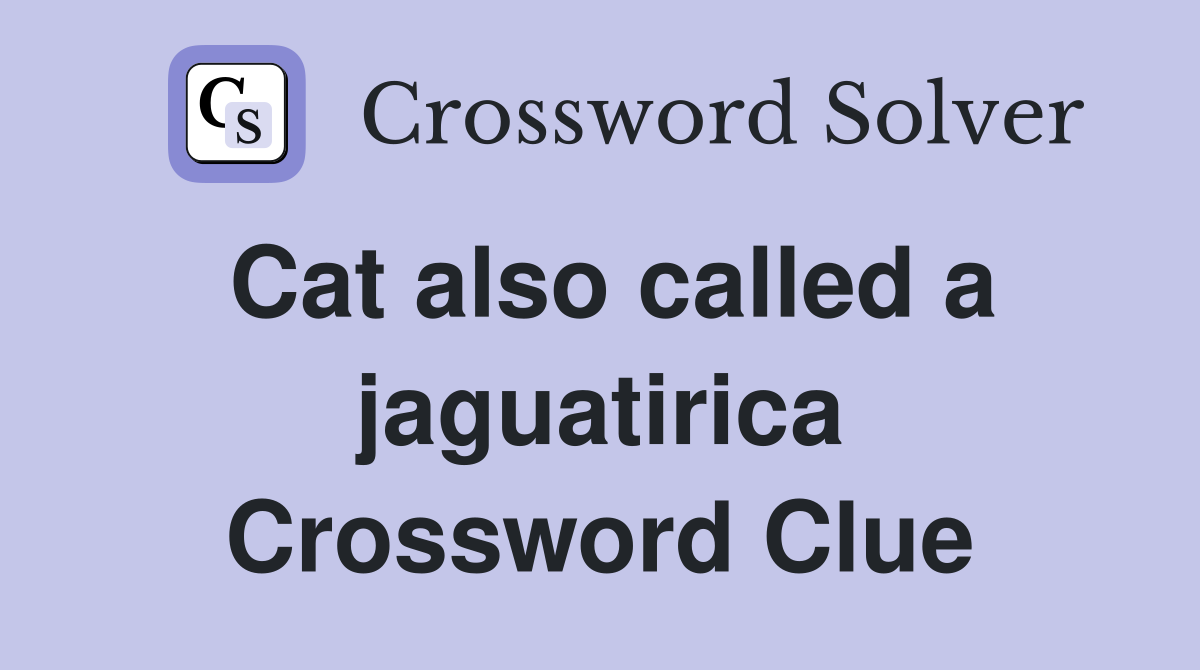 Cat also called a jaguatirica Crossword Clue