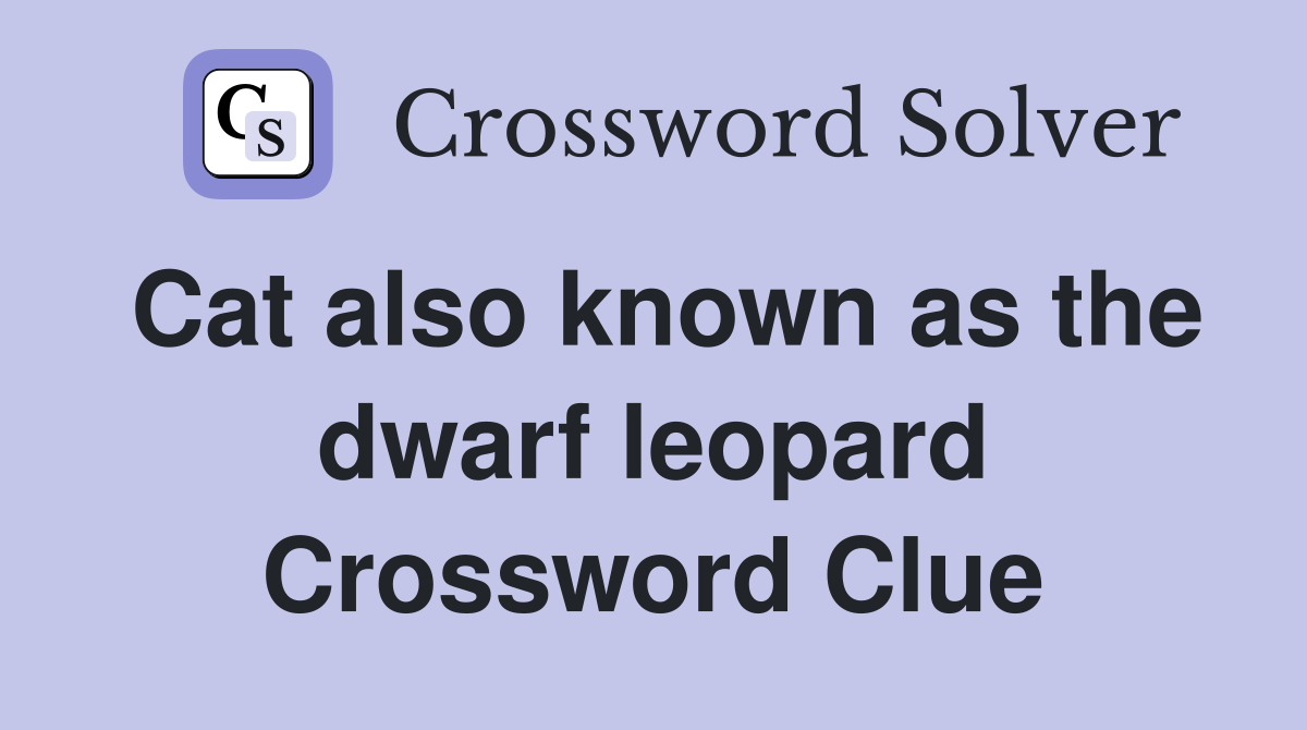 Cat also known as the dwarf leopard Crossword Clue