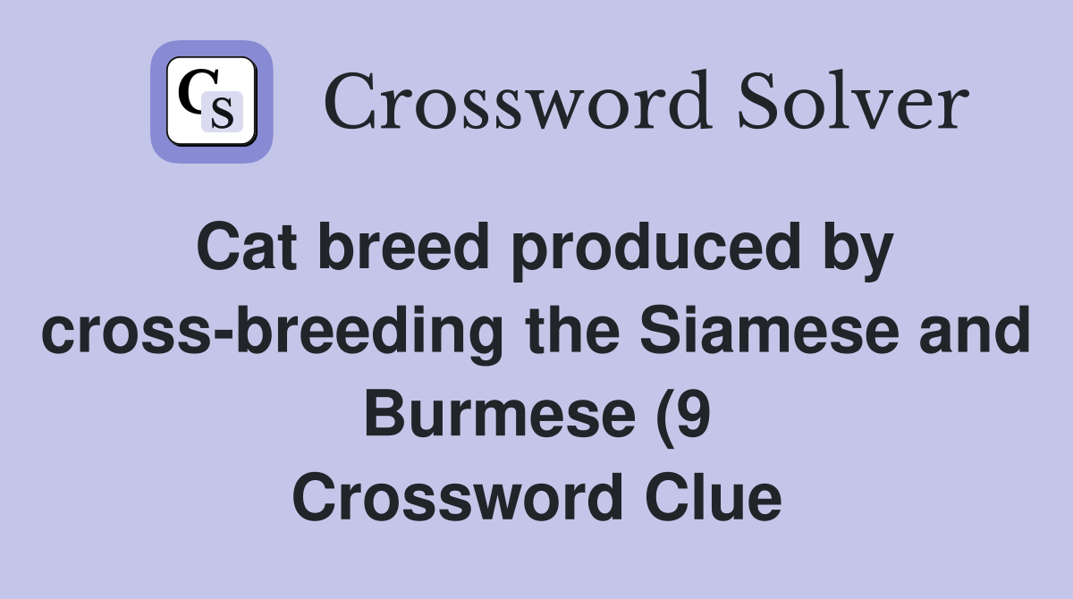 Cat breed produced by cross breeding the Siamese and Burmese (9 Cat breed produced by cross breeding the Siamese and Burmese (9