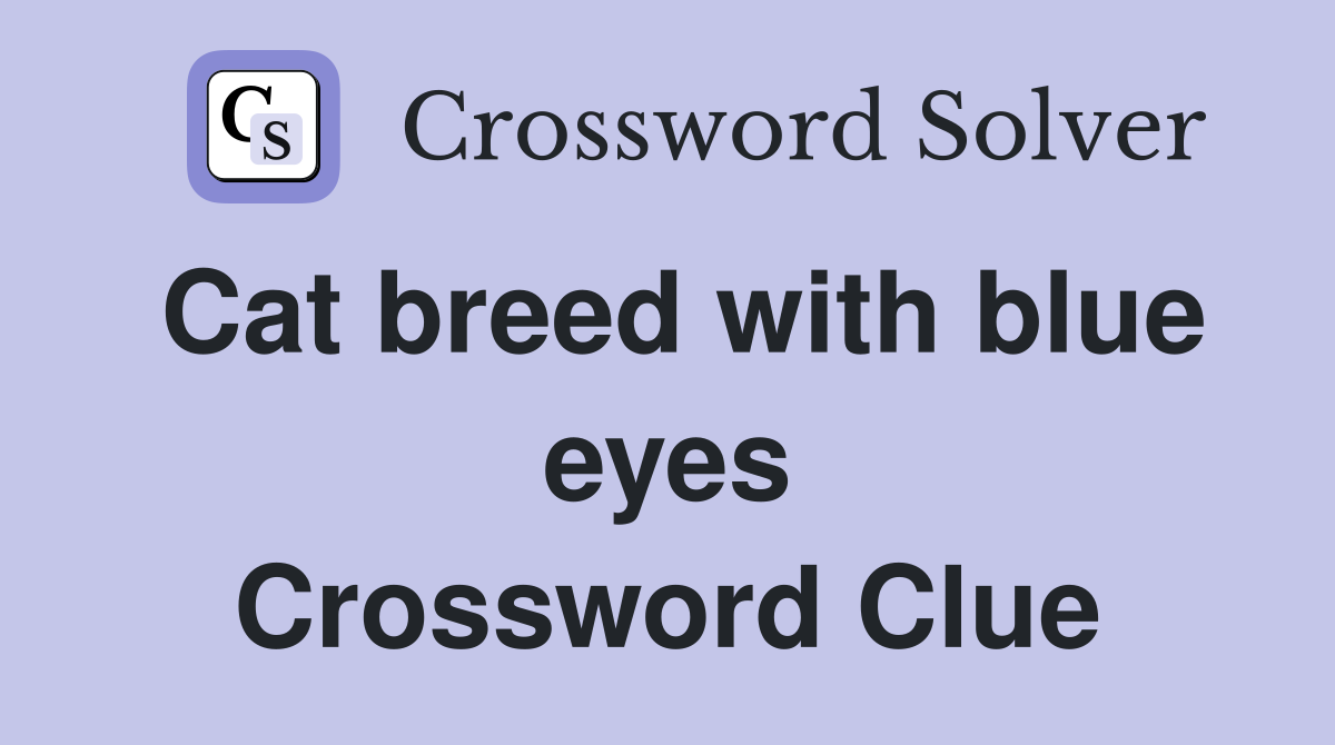 Cat breed with blue eyes Crossword Clue
