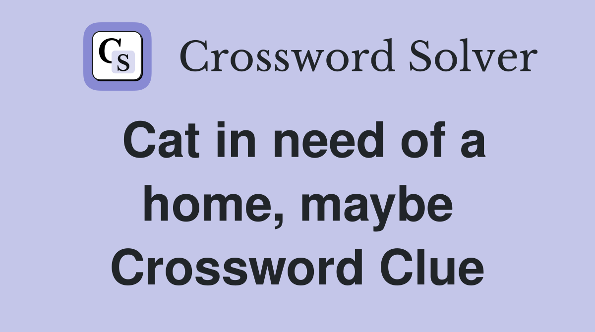 Cat in need of a home, maybe Crossword Clue