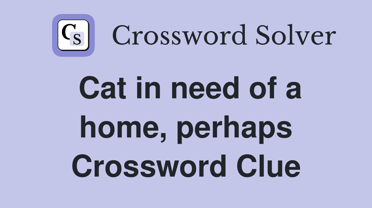 Cat in need of a home, perhaps Crossword Clue
