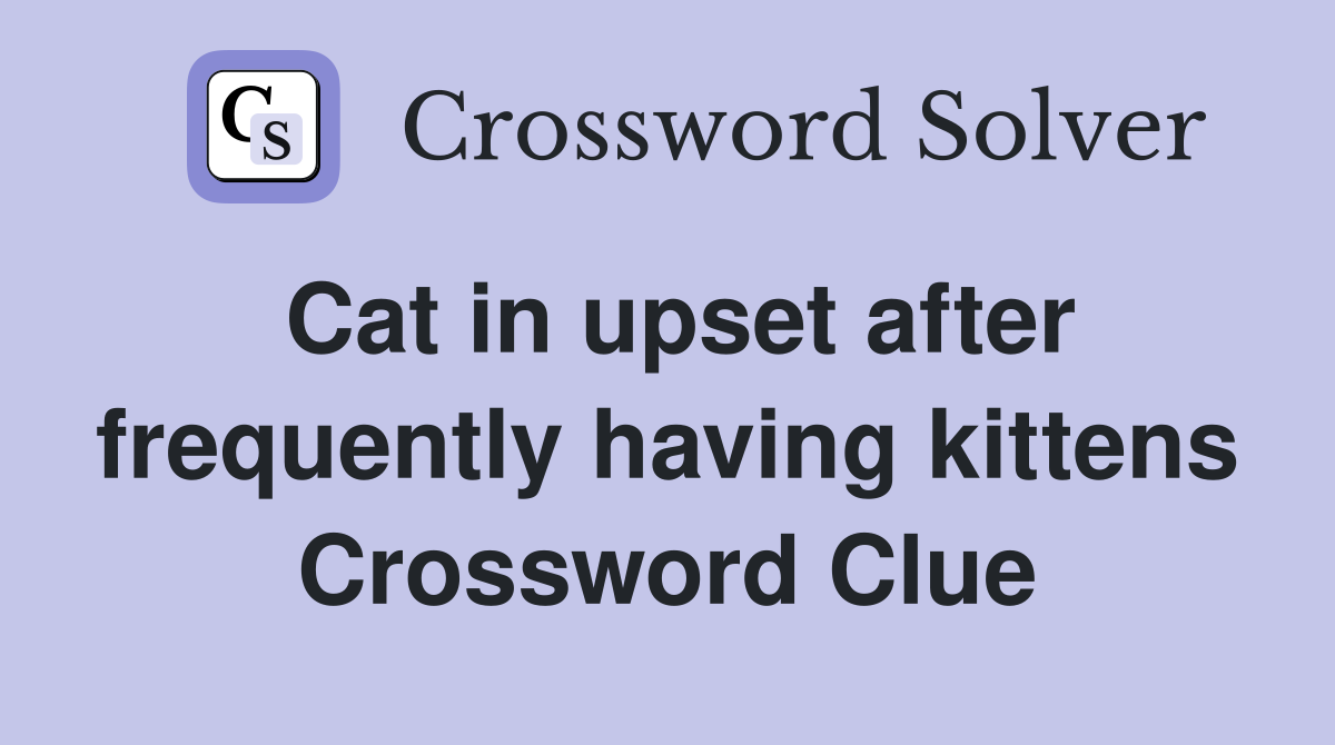 Cat in upset after frequently having kittens Crossword Clue