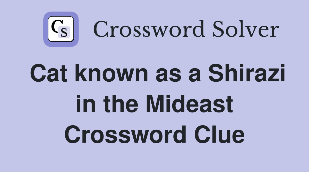 Cat known as a Shirazi in the Mideast Crossword Clue