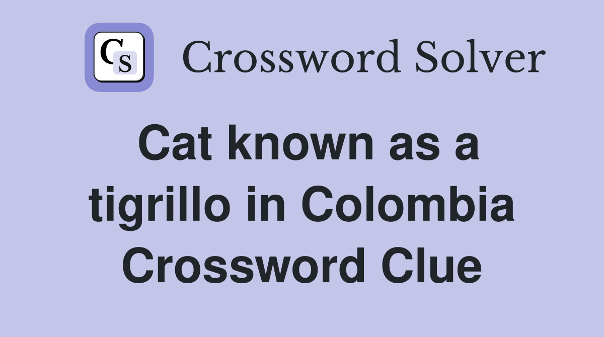 Cat known as a tigrillo in Colombia Crossword Clue