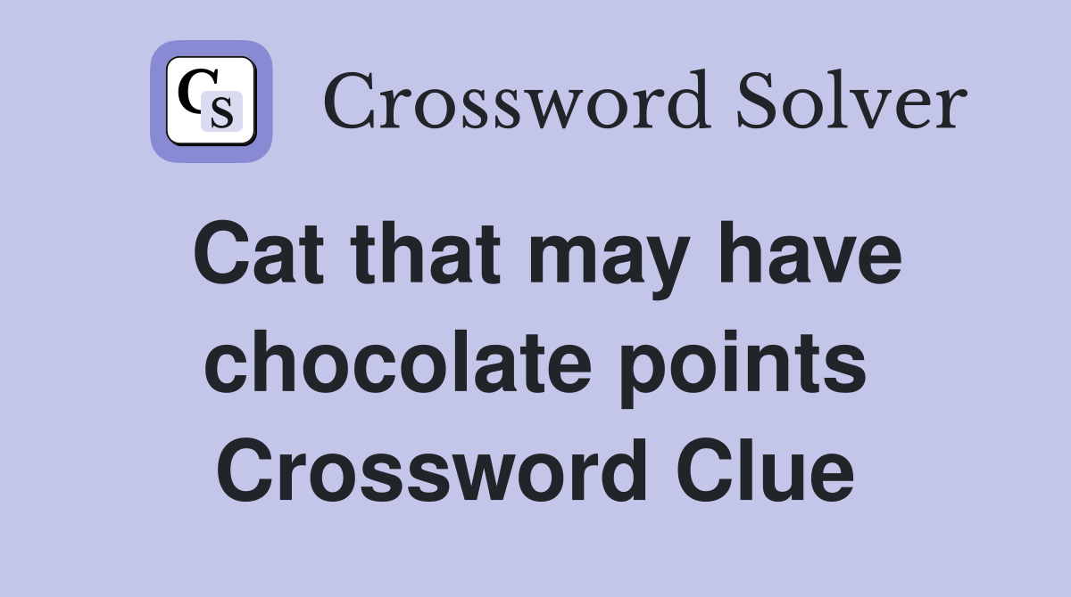 Cat that may have chocolate points Crossword Clue