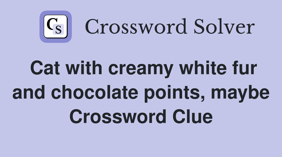 Cat with creamy white fur and chocolate points, maybe Crossword Clue