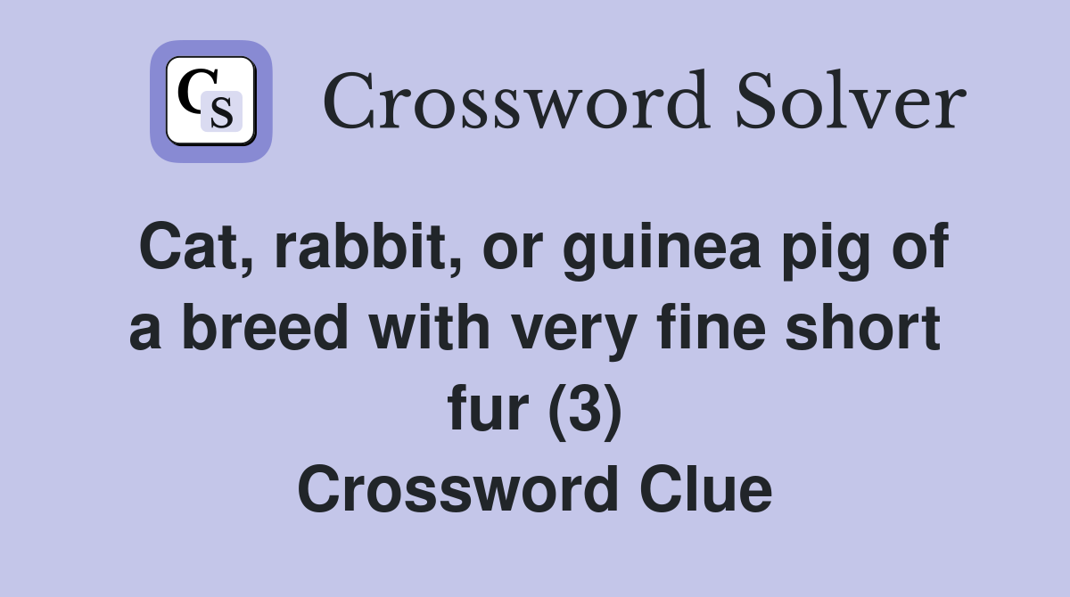 Cat, rabbit, or guinea pig of a breed with very fine short fur (3) Crossword Clue
