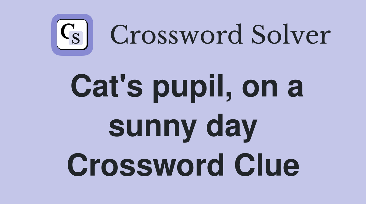 Cat's pupil, on a sunny day Crossword Clue