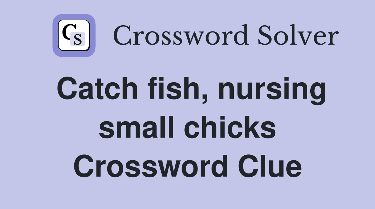 Catch fish, nursing small chicks Crossword Clue