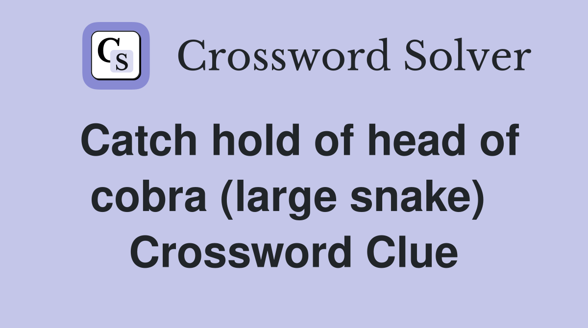 Catch hold of head of cobra (large snake)  Crossword Clue