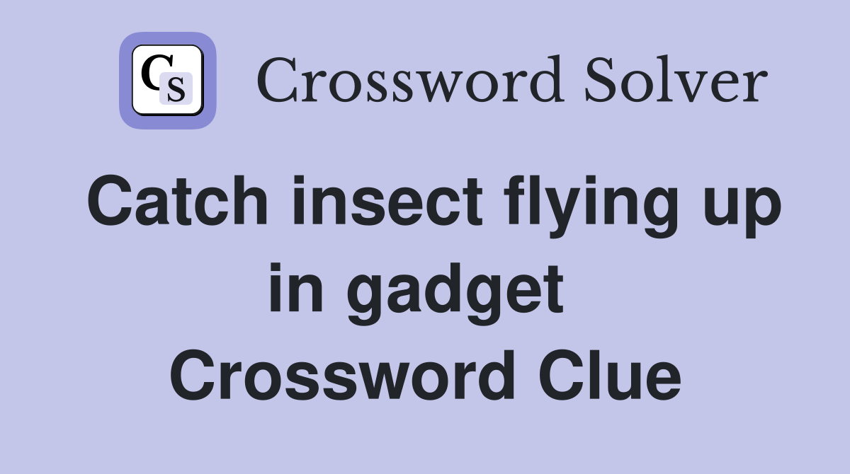 Catch insect flying up in gadget  Crossword Clue