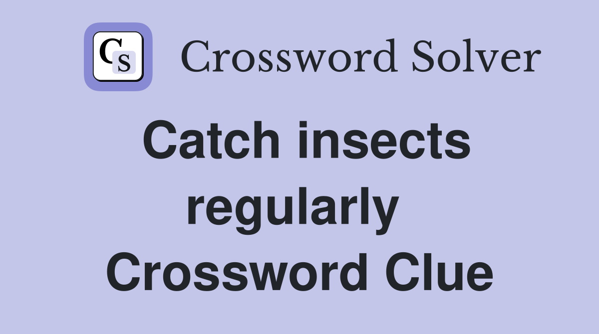 Catch insects regularly  Crossword Clue