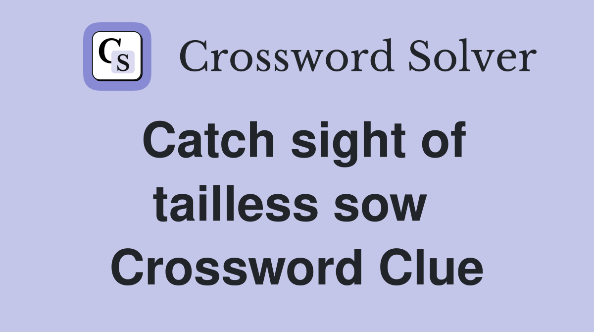 Catch sight of tailless sow  Crossword Clue