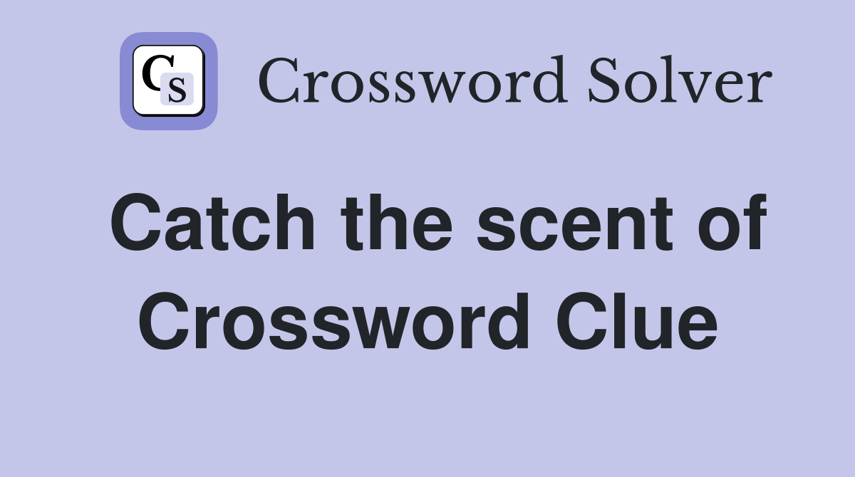 Catch the scent of Crossword Clue