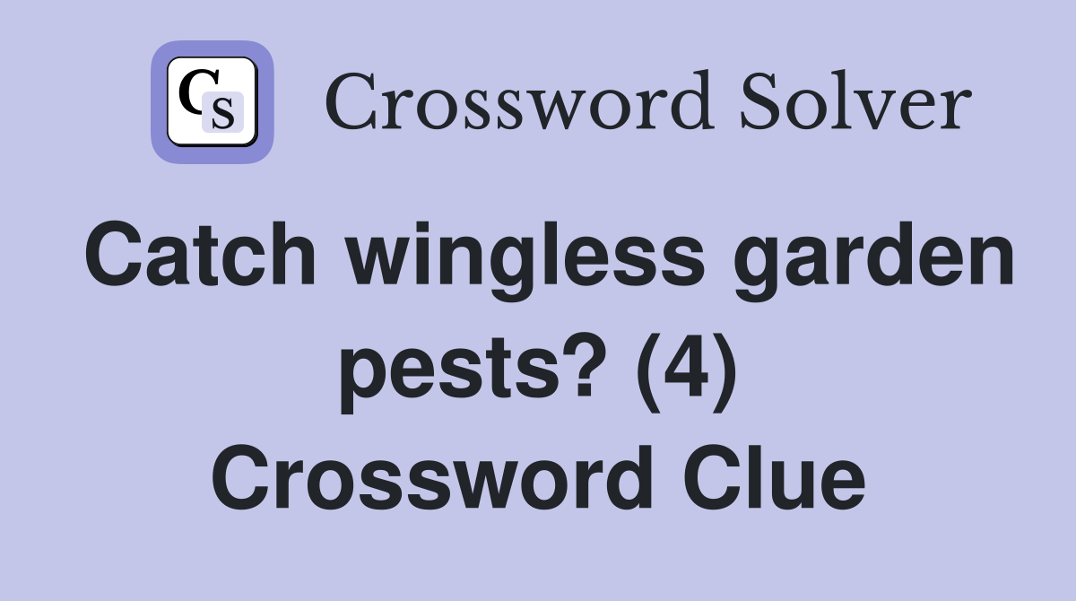 Catch wingless garden pests? (4) Crossword Clue