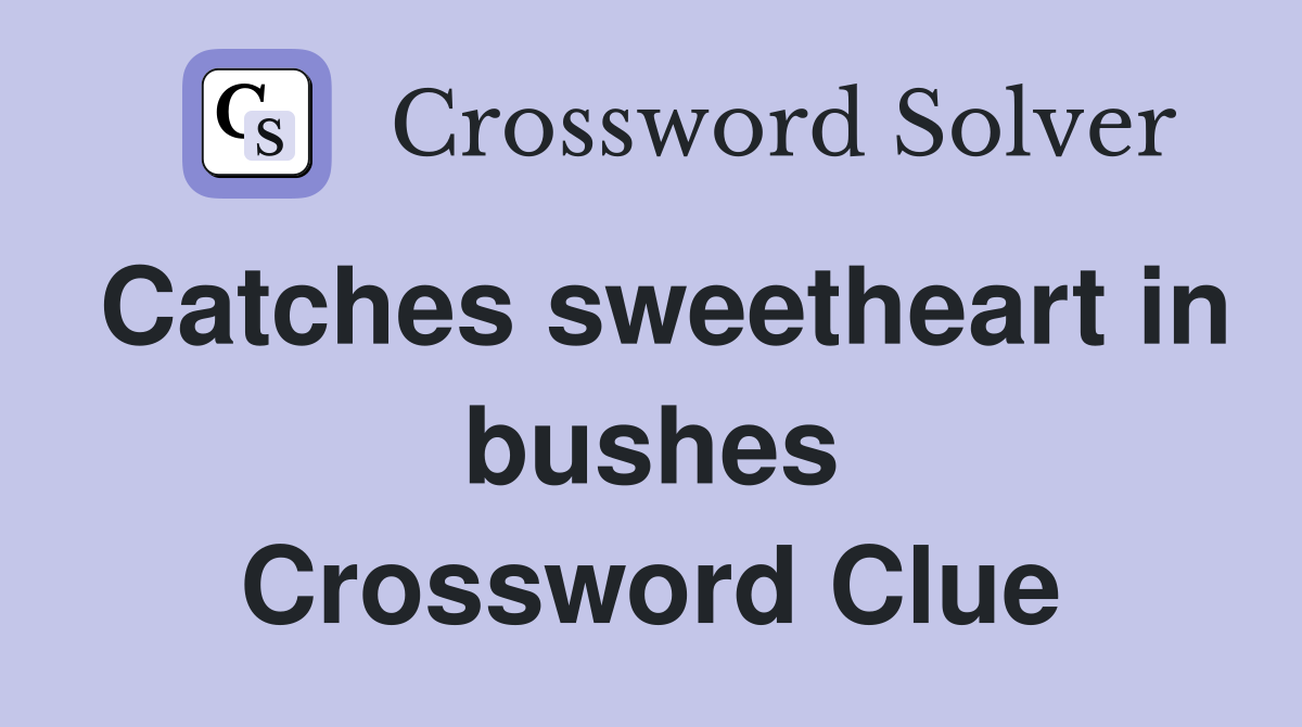 Catches sweetheart in bushes Crossword Clue