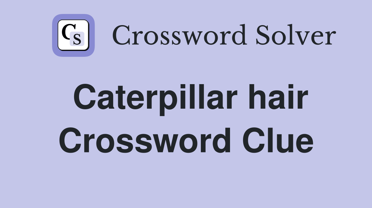 Caterpillar hair Crossword Clue