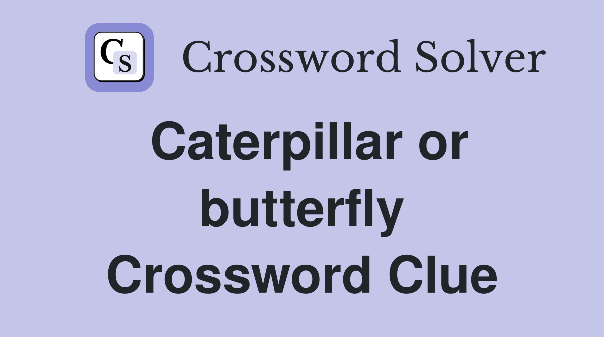 Caterpillar or butterfly Crossword Clue