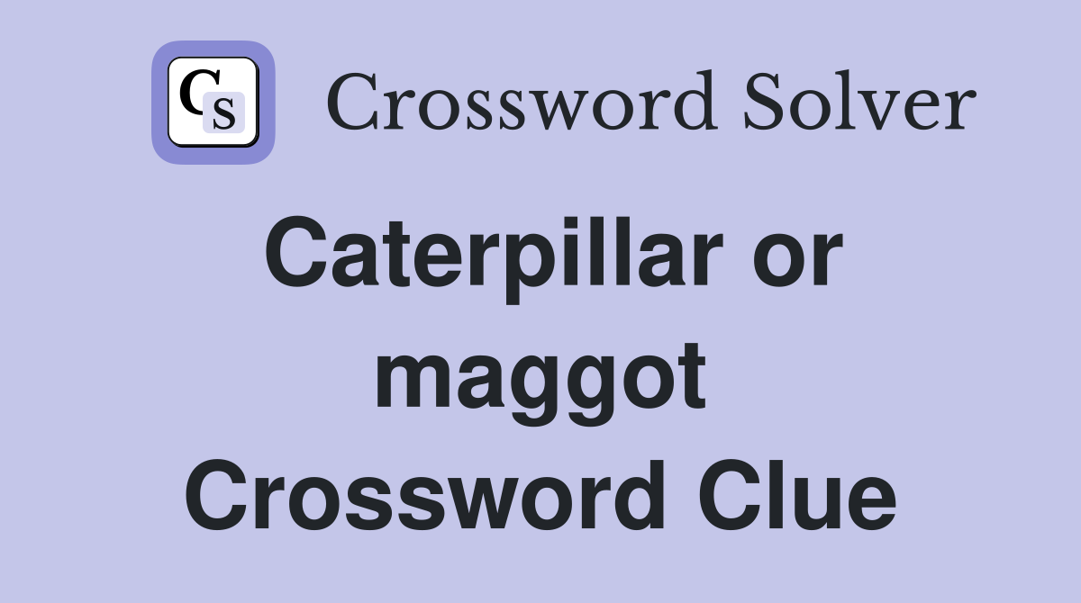 Caterpillar or maggot Crossword Clue